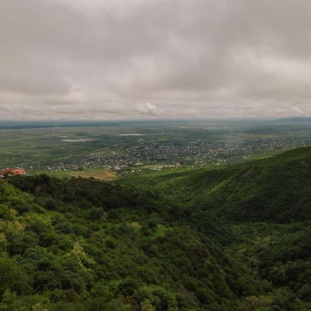 Sighnaghi Garden House Otel Dış mekan fotoğraf