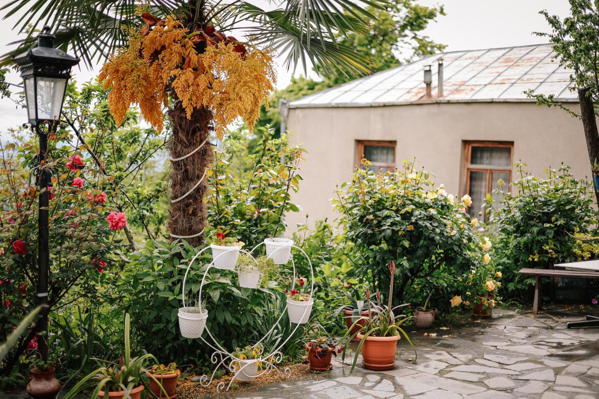 Sighnaghi Garden House Otel Dış mekan fotoğraf